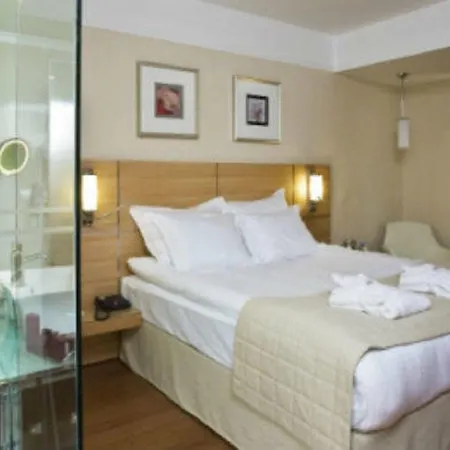 호텔 Anemon Grand 데니즐리